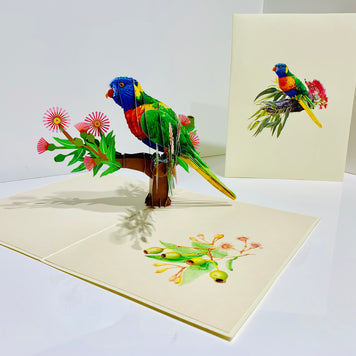 Rainbow Lorikeet Parrot Australian Bird with Native Gum Pink Blossom Wildflower Origami Pop Cards 3D Pop Up Greeting Card Happy Birthday Thank You Handmade Gift Thinking of You Blank Card for Any Occasion Happy Mother's Day Happy Father's
