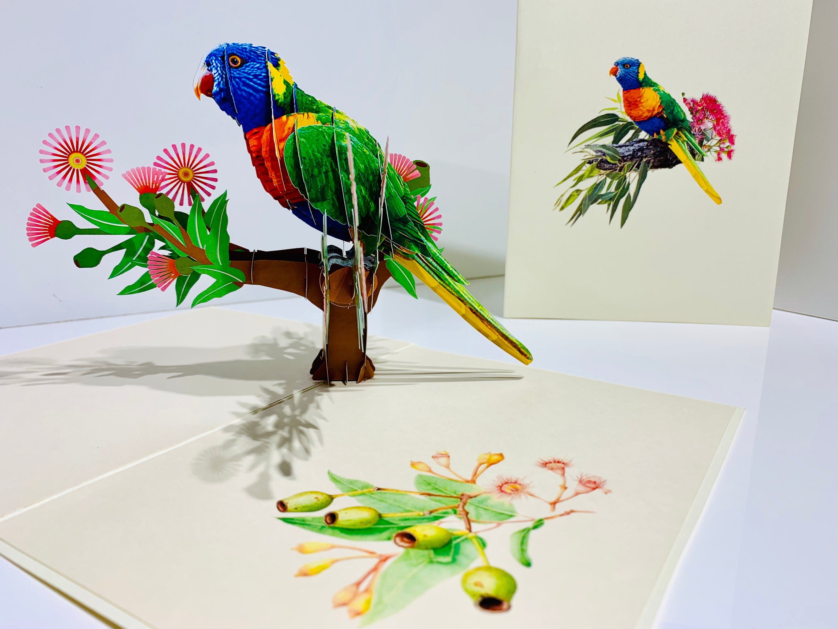 Rainbow Lorikeet Parrot Australian Bird with Native Gum Pink Blossom Wildflower Origami Pop Cards 3D Pop Up Greeting Card Happy Birthday Thank You Handmade Gift Thinking of You Blank Card for Any Occasion Happy Mother's Day Happy Father's