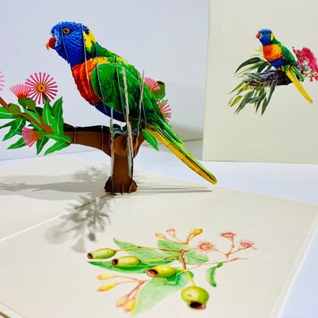 Rainbow Lorikeet Parrot Australian Bird with Native Gum Pink Blossom Wildflower Origami Pop Cards 3D Pop Up Greeting Card Happy Birthday Thank You Handmade Gift Thinking of You Blank Card for Any Occasion Happy Mother's Day Happy Father's