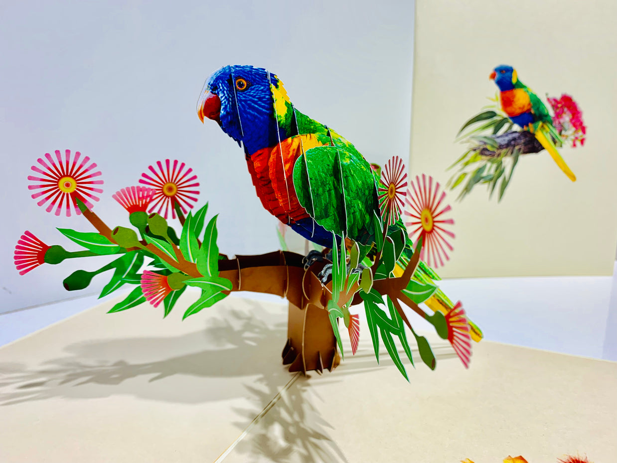 Rainbow Lorikeet Parrot Australian Bird with Native Gum Pink Blossom Wildflower Origami Pop Cards 3D Pop Up Greeting Card Happy Birthday Thank You Handmade Gift Thinking of You Blank Card for Any Occasion Happy Mother's Day Happy Father's