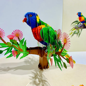 Rainbow Lorikeet Parrot Australian Bird with Native Gum Pink Blossom Wildflower Origami Pop Cards 3D Pop Up Greeting Card Happy Birthday Thank You Handmade Gift Thinking of You Blank Card for Any Occasion Happy Mother's Day Happy Father's