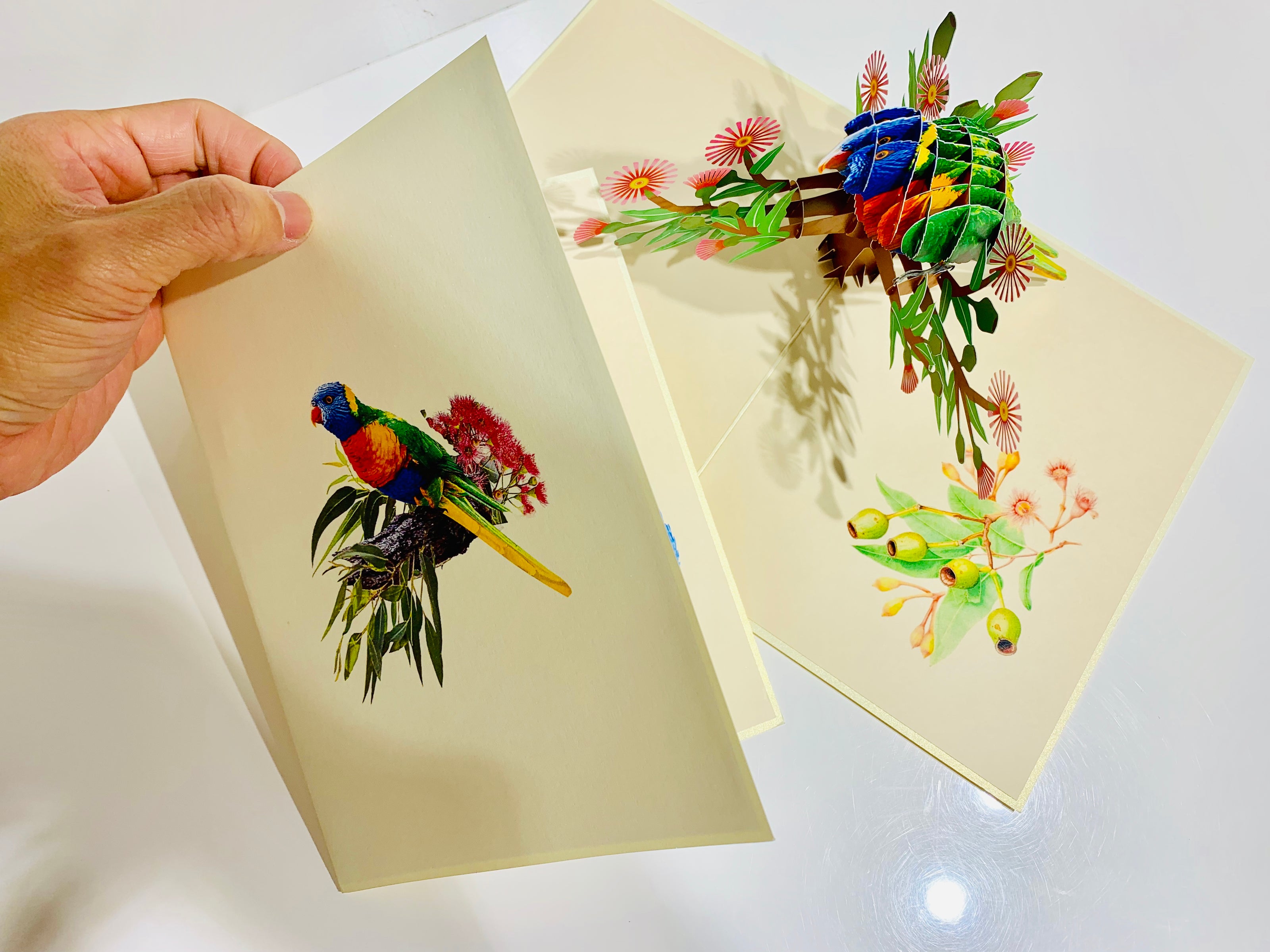 Rainbow Lorikeet Parrot Australian Bird with Native Gum Pink Blossom Wildflower Origami Pop Cards 3D Pop Up Greeting Card Happy Birthday Thank You Handmade Gift Thinking of You Blank Card for Any Occasion Happy Mother's Day Happy Father's