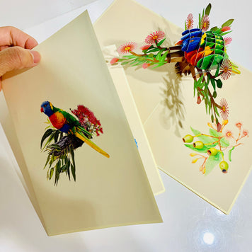Rainbow Lorikeet Parrot Australian Bird with Native Gum Pink Blossom Wildflower Origami Pop Cards 3D Pop Up Greeting Card Happy Birthday Thank You Handmade Gift Thinking of You Blank Card for Any Occasion Happy Mother's Day Happy Father's