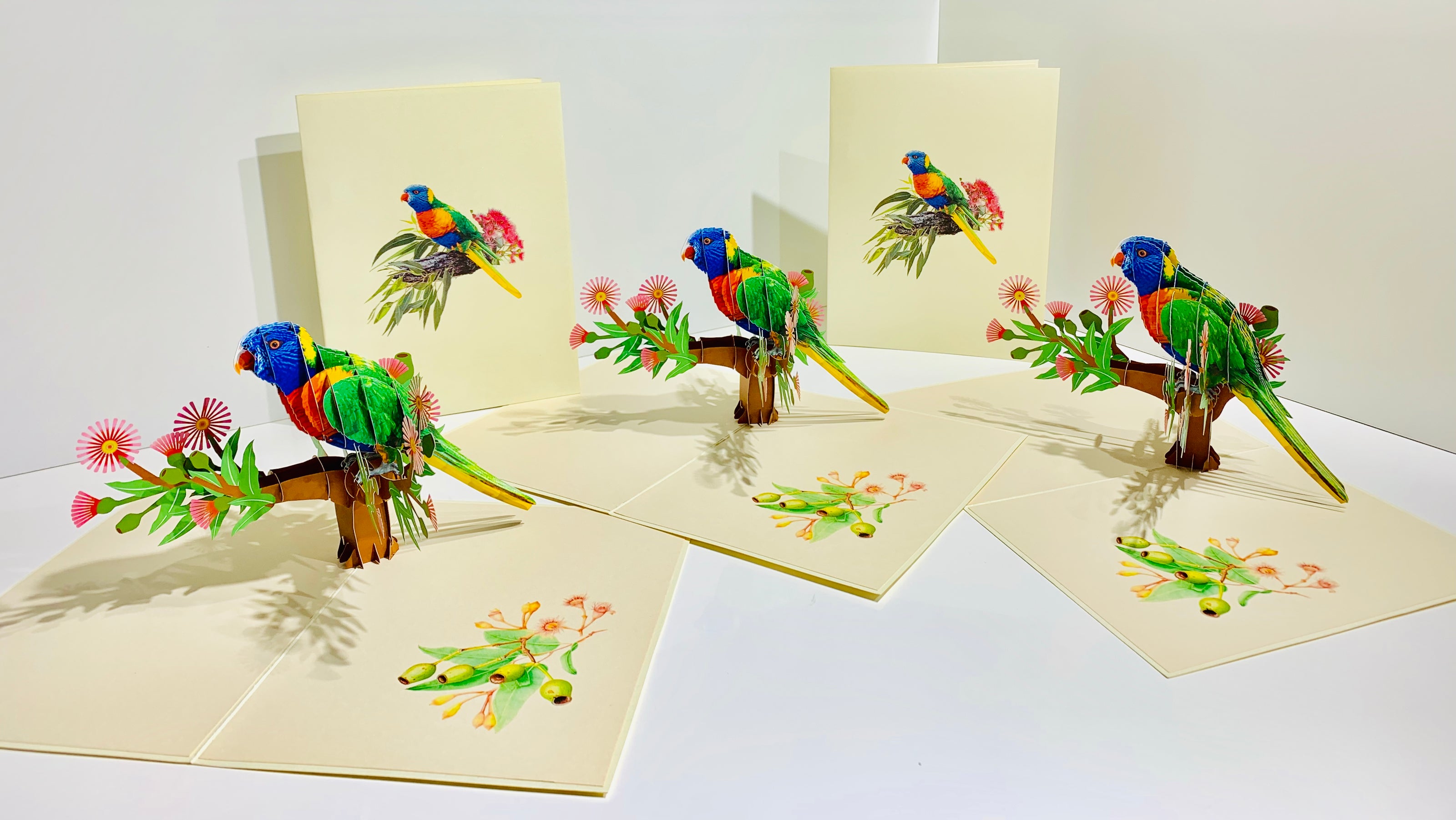 Rainbow Lorikeet Parrot Australian Bird with Native Gum Pink Blossom Wildflower Origami Pop Cards 3D Pop Up Greeting Card Happy Birthday Thank You Handmade Gift Thinking of You Blank Card for Any Occasion Happy Mother's Day Happy Father's