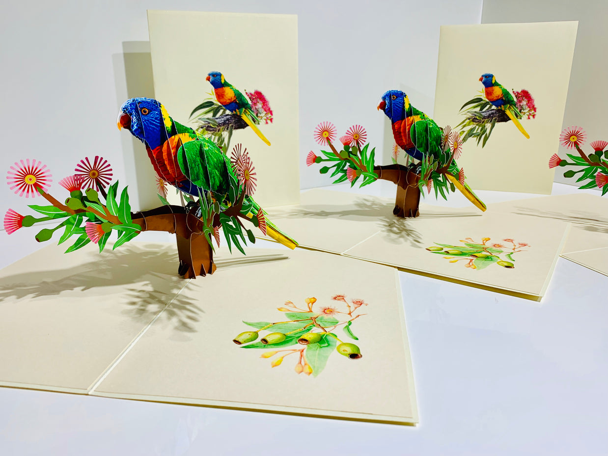 Rainbow Lorikeet Parrot Australian Bird with Native Gum Pink Blossom Wildflower Origami Pop Cards 3D Pop Up Greeting Card Happy Birthday Thank You Handmade Gift Thinking of You Blank Card for Any Occasion Happy Mother's Day Happy Father's