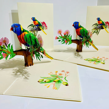 Rainbow Lorikeet Parrot Australian Bird with Native Gum Pink Blossom Wildflower Origami Pop Cards 3D Pop Up Greeting Card Happy Birthday Thank You Handmade Gift Thinking of You Blank Card for Any Occasion Happy Mother's Day Happy Father's