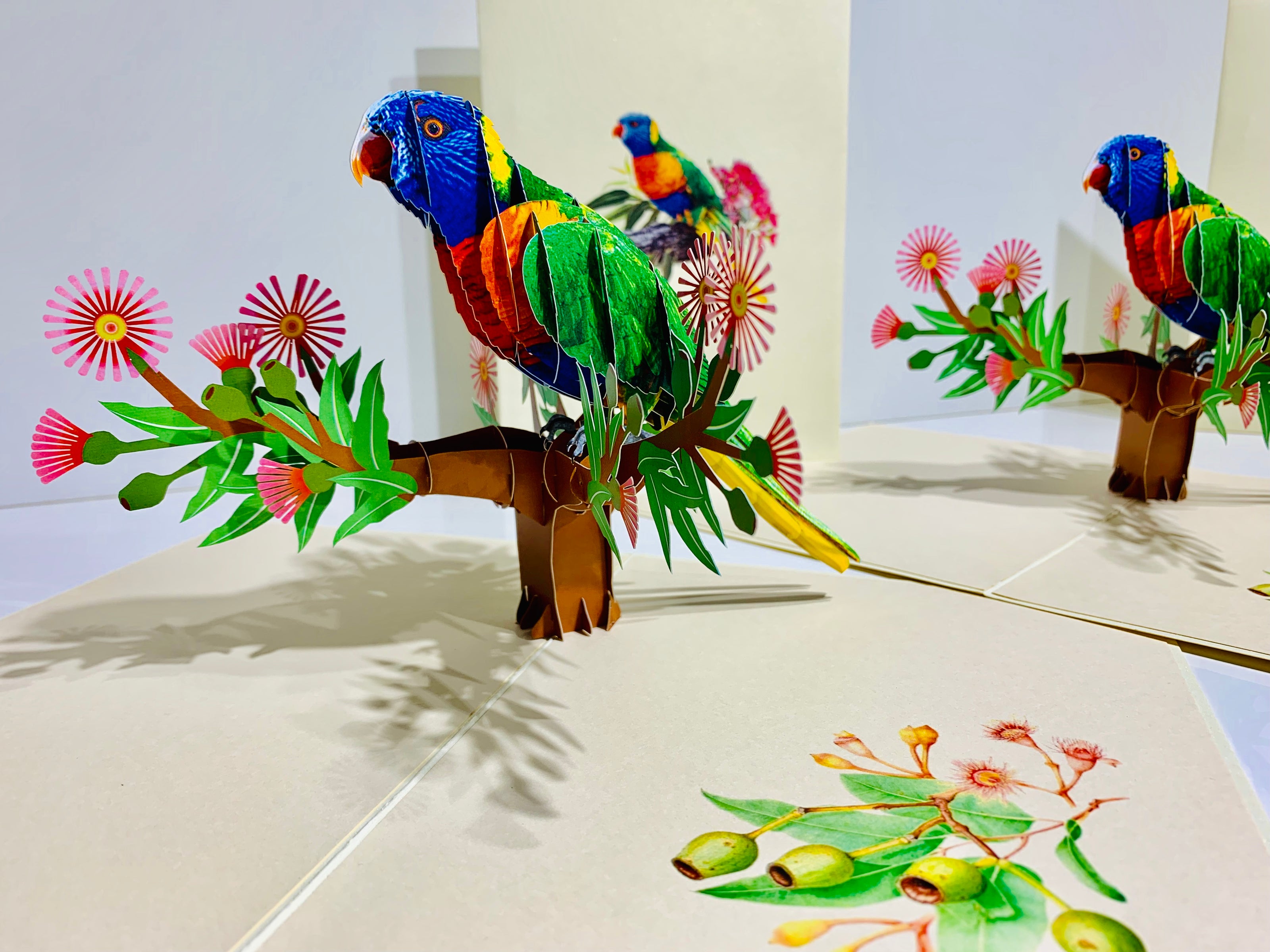 Rainbow Lorikeet Parrot Australian Bird with Native Gum Pink Blossom Wildflower Origami Pop Cards 3D Pop Up Greeting Card Happy Birthday Thank You Handmade Gift Thinking of You Blank Card for Any Occasion Happy Mother's Day Happy Father's