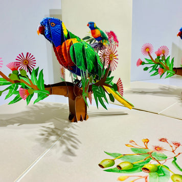 Rainbow Lorikeet Parrot Australian Bird with Native Gum Pink Blossom Wildflower Origami Pop Cards 3D Pop Up Greeting Card Happy Birthday Thank You Handmade Gift Thinking of You Blank Card for Any Occasion Happy Mother's Day Happy Father's