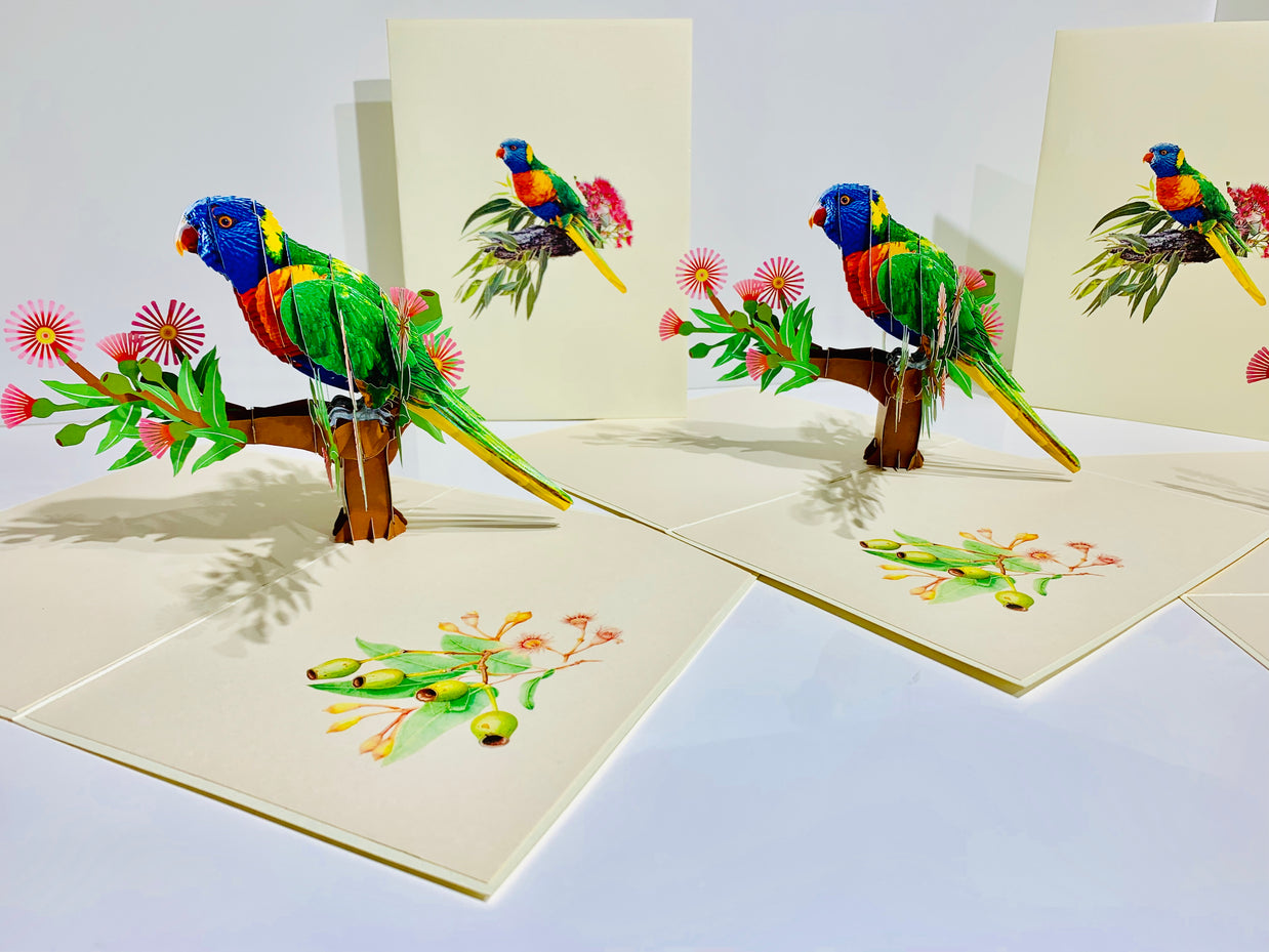 Rainbow Lorikeet Parrot Australian Bird with Native Gum Pink Blossom Wildflower Origami Pop Cards 3D Pop Up Greeting Card Happy Birthday Thank You Handmade Gift Thinking of You Blank Card for Any Occasion Happy Mother's Day Happy Father's