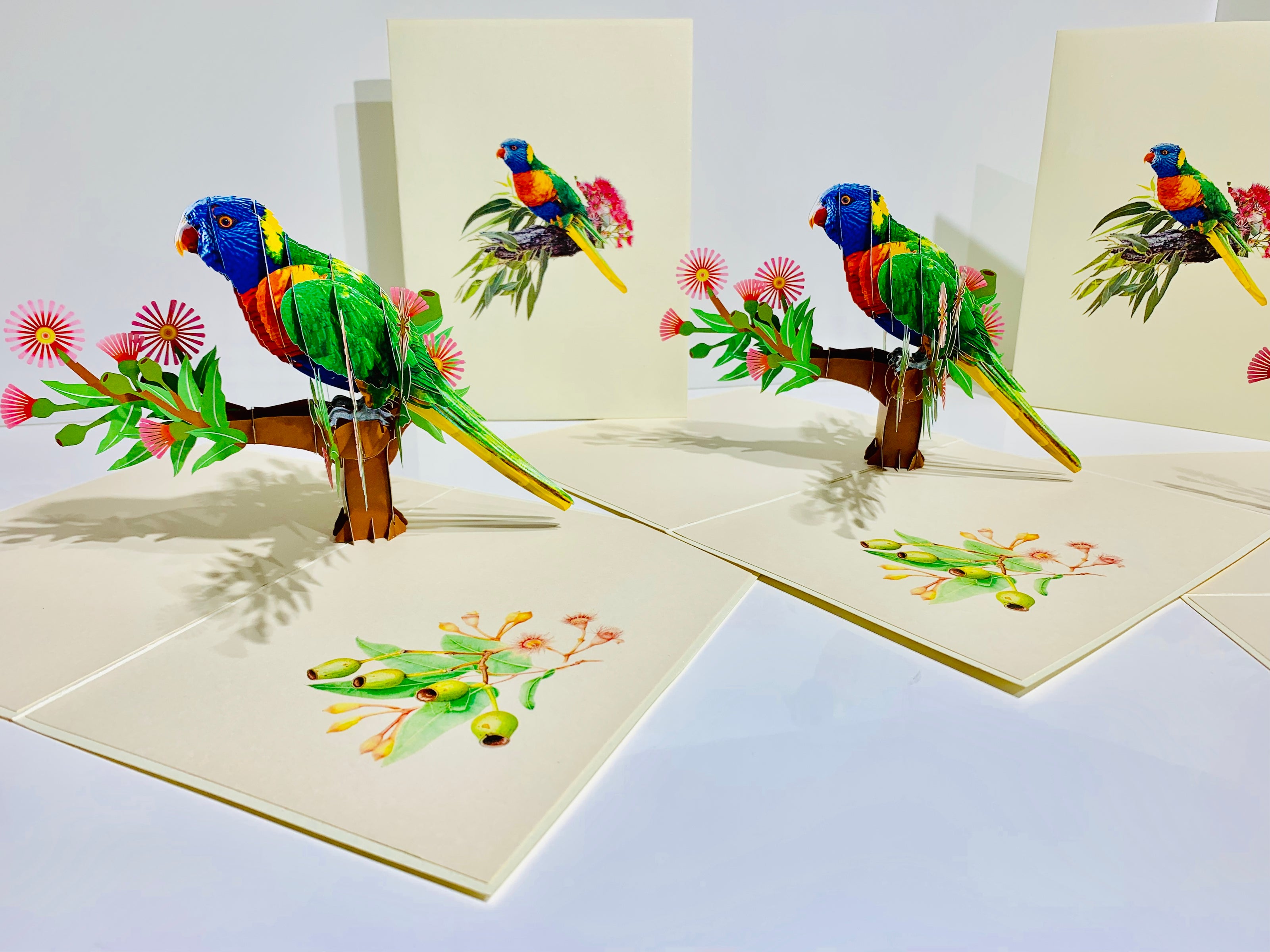 Rainbow Lorikeet Parrot Australian Bird with Native Gum Pink Blossom Wildflower Origami Pop Cards 3D Pop Up Greeting Card Happy Birthday Thank You Handmade Gift Thinking of You Blank Card for Any Occasion Happy Mother's Day Happy Father's