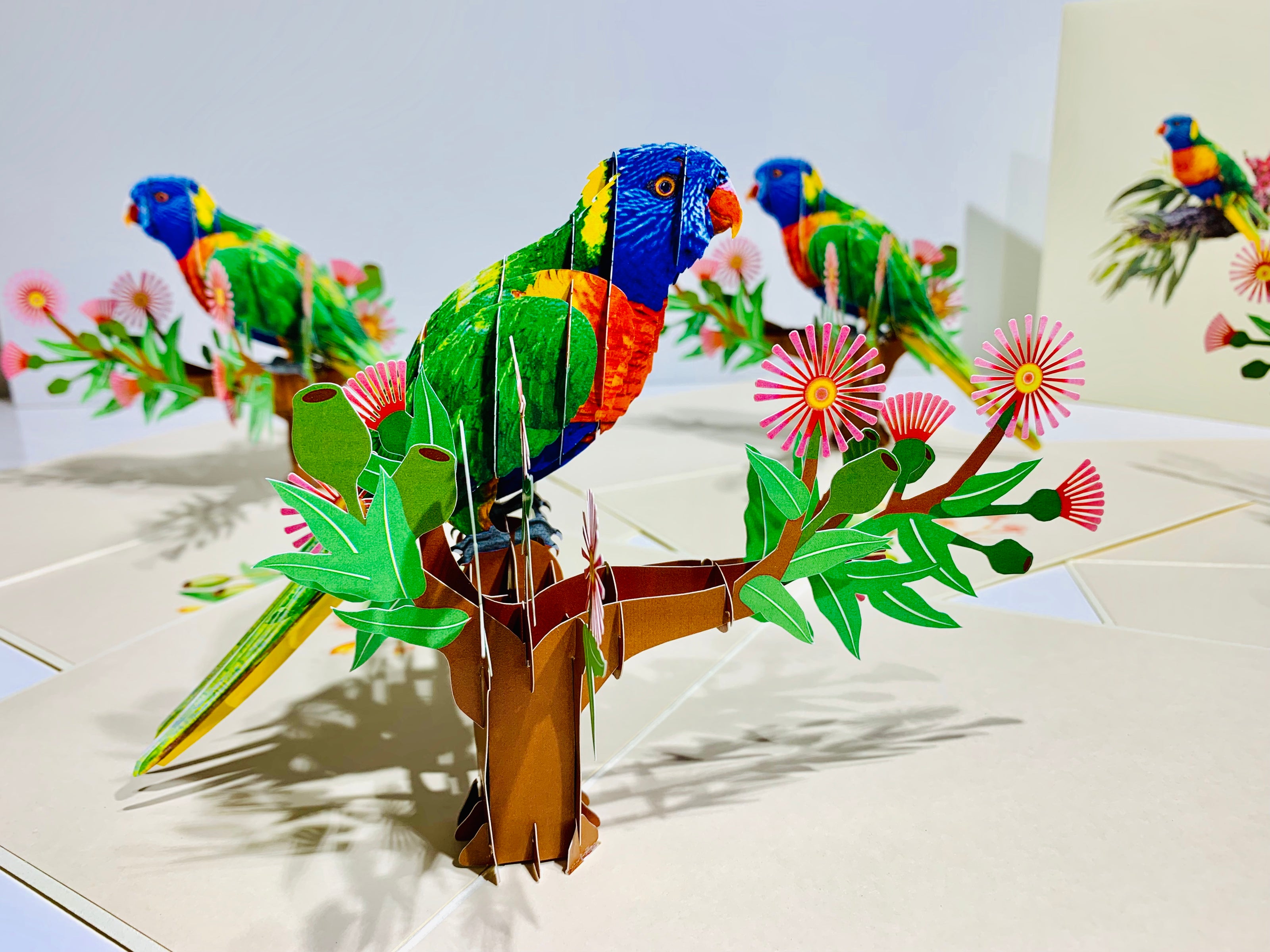 Rainbow Lorikeet Parrot Australian Bird with Native Gum Pink Blossom Wildflower Origami Pop Cards 3D Pop Up Greeting Card Happy Birthday Thank You Handmade Gift Thinking of You Blank Card for Any Occasion Happy Mother's Day Happy Father's