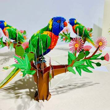 Rainbow Lorikeet Parrot Australian Bird with Native Gum Pink Blossom Wildflower Origami Pop Cards 3D Pop Up Greeting Card Happy Birthday Thank You Handmade Gift Thinking of You Blank Card for Any Occasion Happy Mother's Day Happy Father's