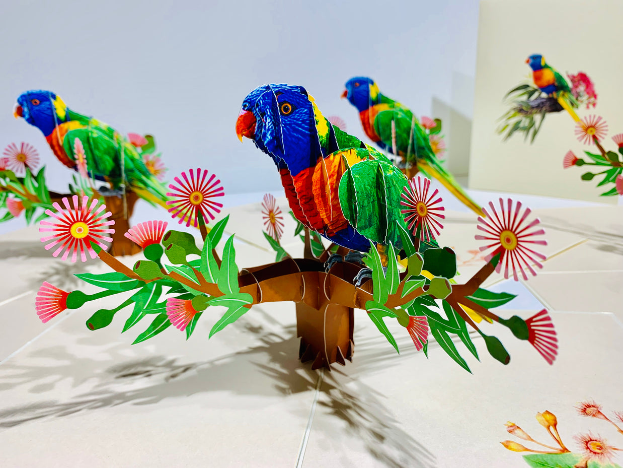 Rainbow Lorikeet Parrot Australian Bird with Native Gum Pink Blossom Wildflower Origami Pop Cards 3D Pop Up Greeting Card Happy Birthday Thank You Handmade Gift Thinking of You Blank Card for Any Occasion Happy Mother's Day Happy Father's