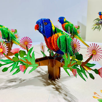 Rainbow Lorikeet Parrot Australian Bird with Native Gum Pink Blossom Wildflower Origami Pop Cards 3D Pop Up Greeting Card Happy Birthday Thank You Handmade Gift Thinking of You Blank Card for Any Occasion Happy Mother's Day Happy Father's