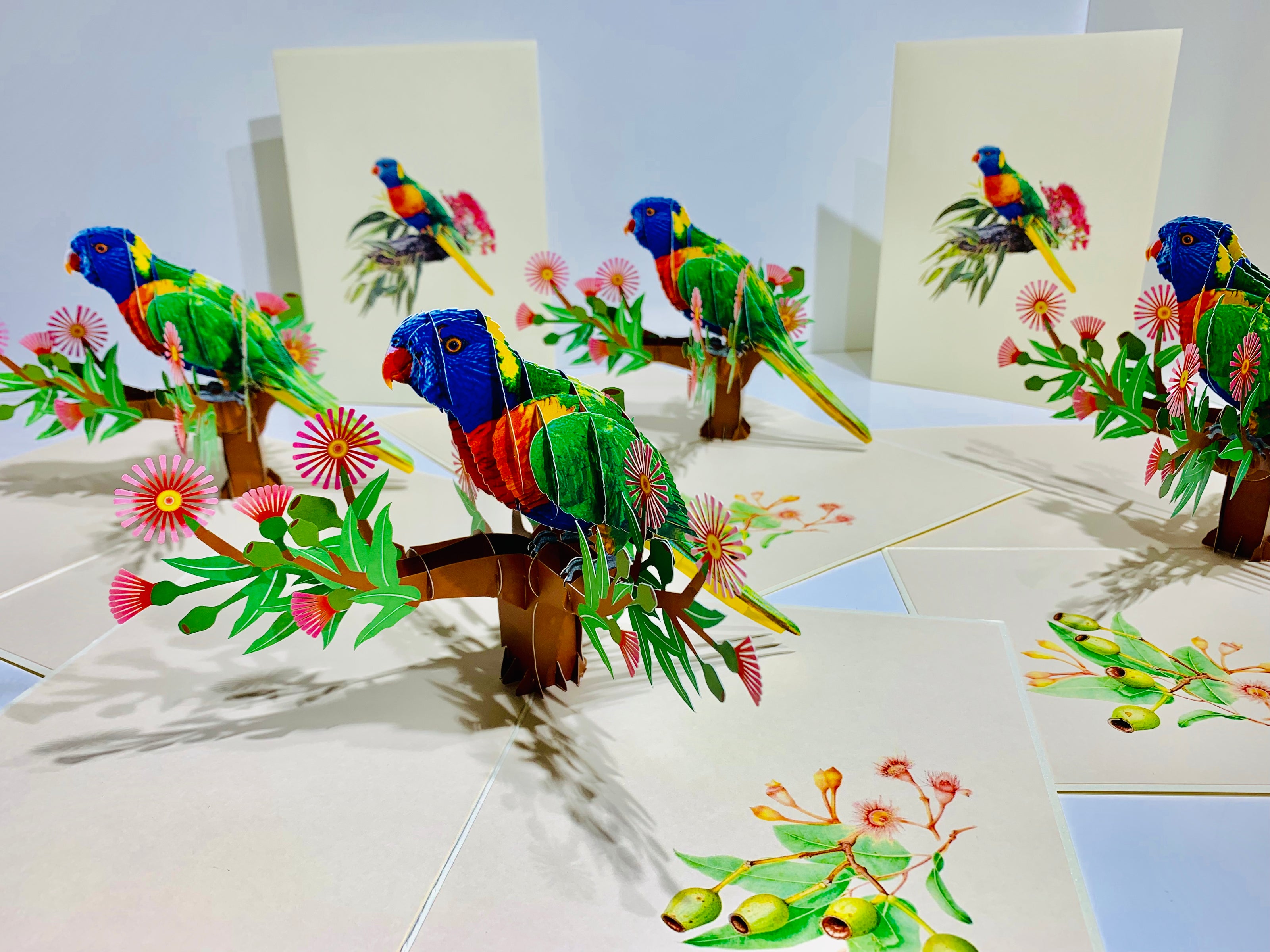 Rainbow Lorikeet Parrot Australian Bird with Native Gum Pink Blossom Wildflower Origami Pop Cards 3D Pop Up Greeting Card Happy Birthday Thank You Handmade Gift Thinking of You Blank Card for Any Occasion Happy Mother's Day Happy Father's