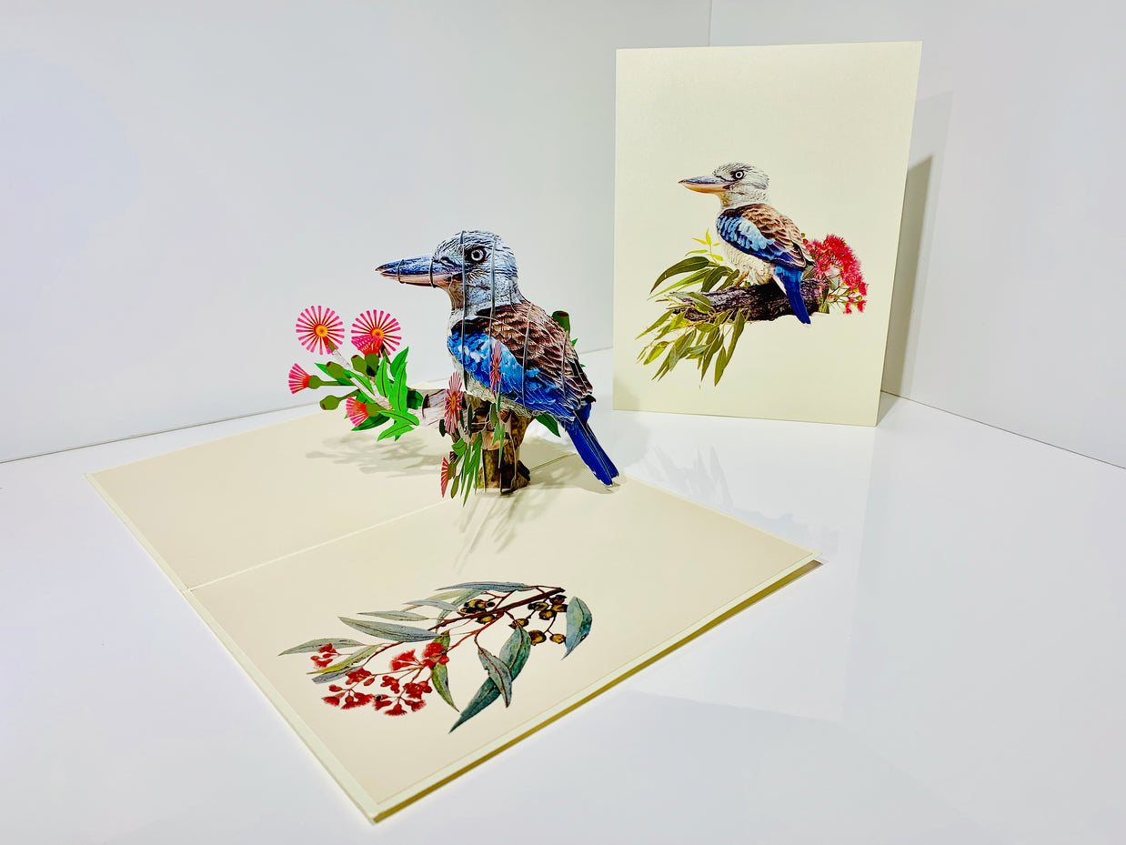 Laughing Kookaburra Australian Bird with Native Pink Gumnut Blossom Wildflower Origami Pop Cards 3D Pop Up Greeting Card Happy Birthday Thank You Handmade Gift Thinking of You Blank Card for Any Occasion Happy Mother's Day Happy Father's Australiana
