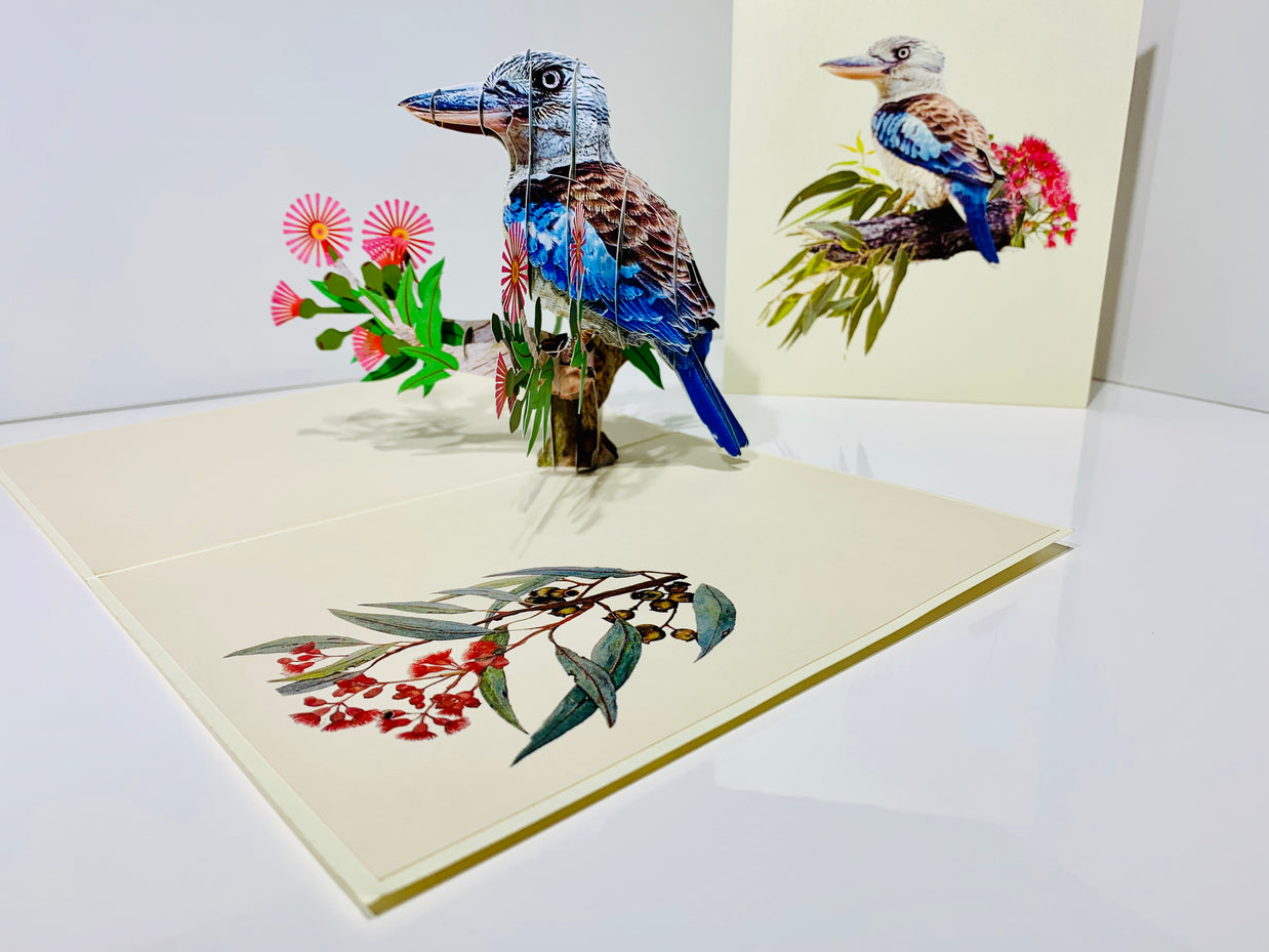 Laughing Kookaburra Australian Bird with Native Pink Gumnut Blossom Wildflower Origami Pop Cards 3D Pop Up Greeting Card Happy Birthday Thank You Handmade Gift Thinking of You Blank Card for Any Occasion Happy Mother's Day Happy Father's Australiana
