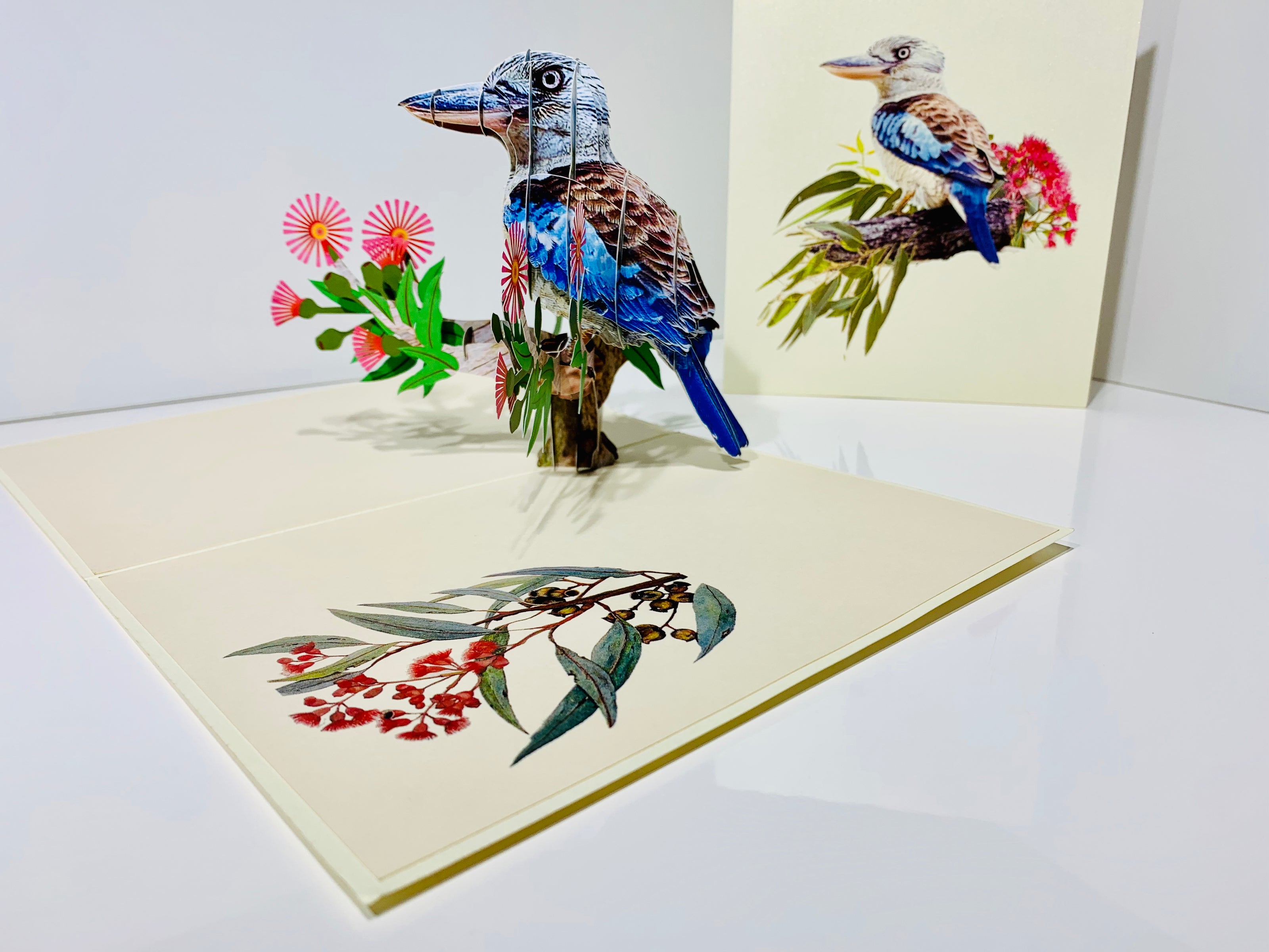 Laughing Kookaburra Australian Bird with Native Pink Gumnut Blossom Wildflower Origami Pop Cards 3D Pop Up Greeting Card Happy Birthday Thank You Handmade Gift Thinking of You Blank Card for Any Occasion Happy Mother's Day Happy Father's Australiana