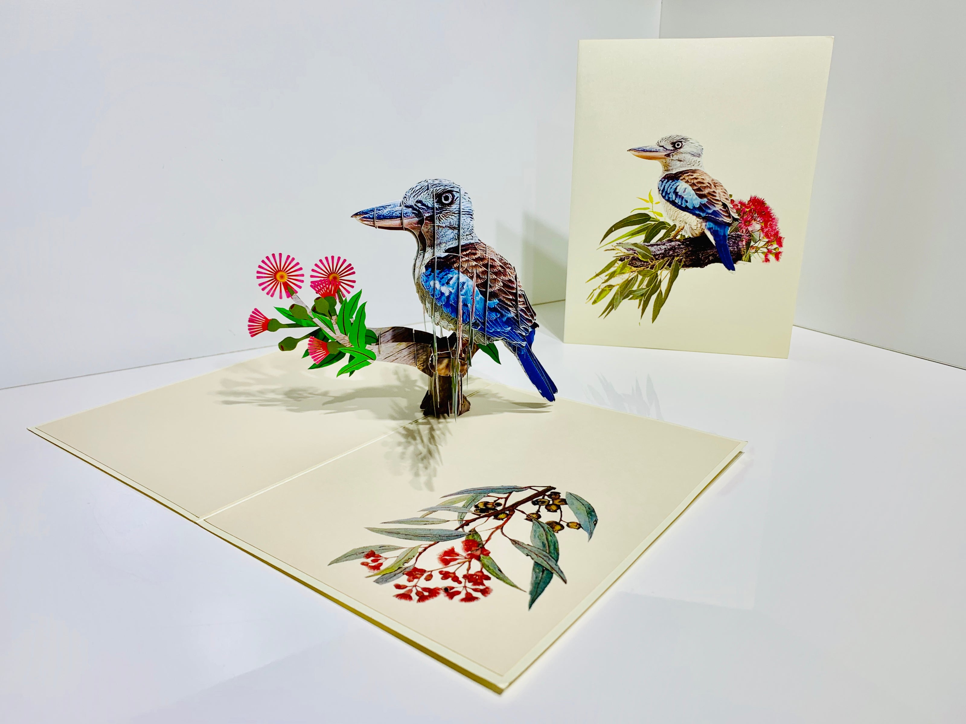 Laughing Kookaburra Australian Bird with Native Pink Gumnut Blossom Wildflower Origami Pop Cards 3D Pop Up Greeting Card Happy Birthday Thank You Handmade Gift Thinking of You Blank Card for Any Occasion Happy Mother's Day Happy Father's Australiana