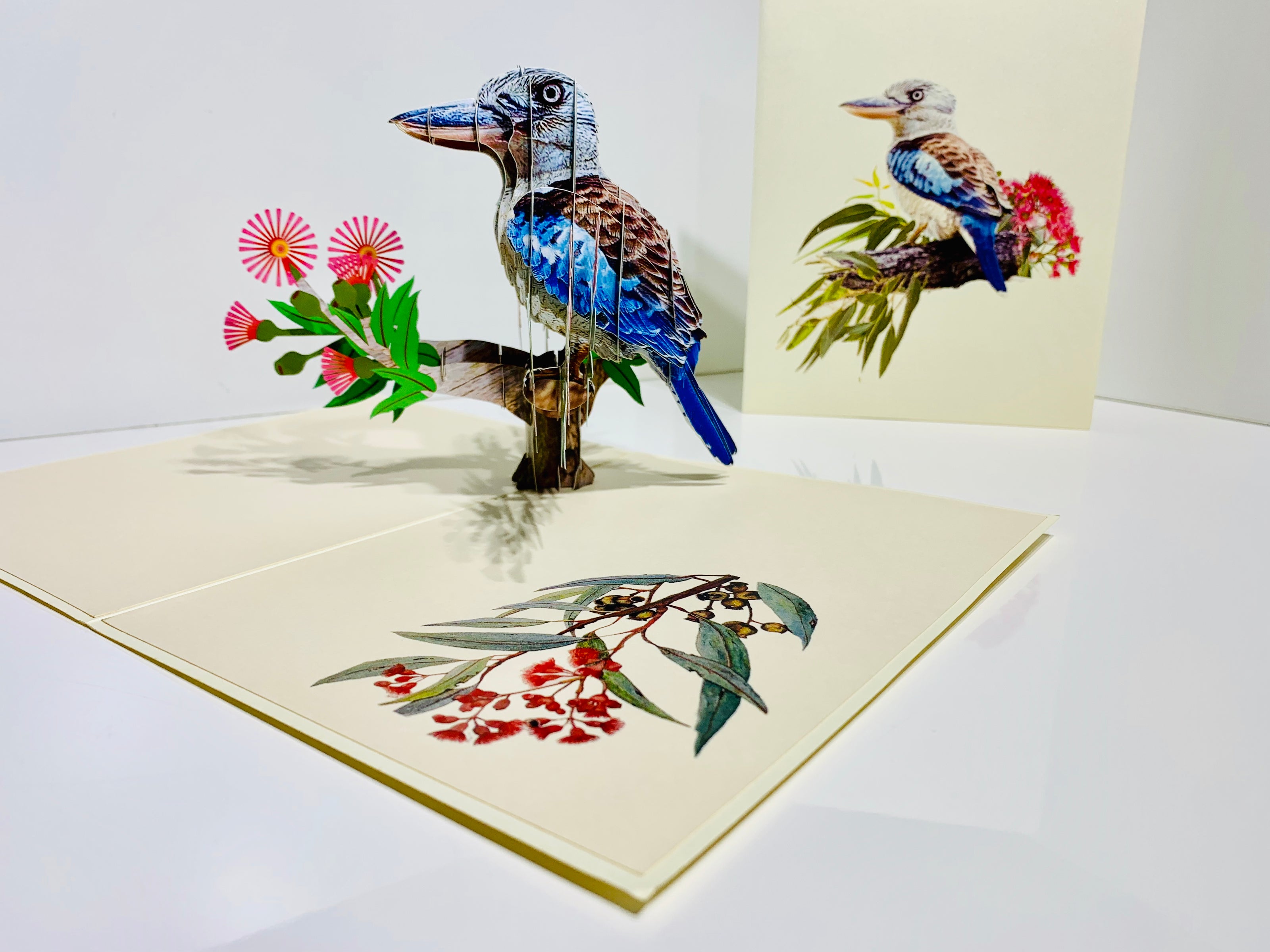 Laughing Kookaburra Australian Bird with Native Pink Gumnut Blossom Wildflower Origami Pop Cards 3D Pop Up Greeting Card Happy Birthday Thank You Handmade Gift Thinking of You Blank Card for Any Occasion Happy Mother's Day Happy Father's Australiana