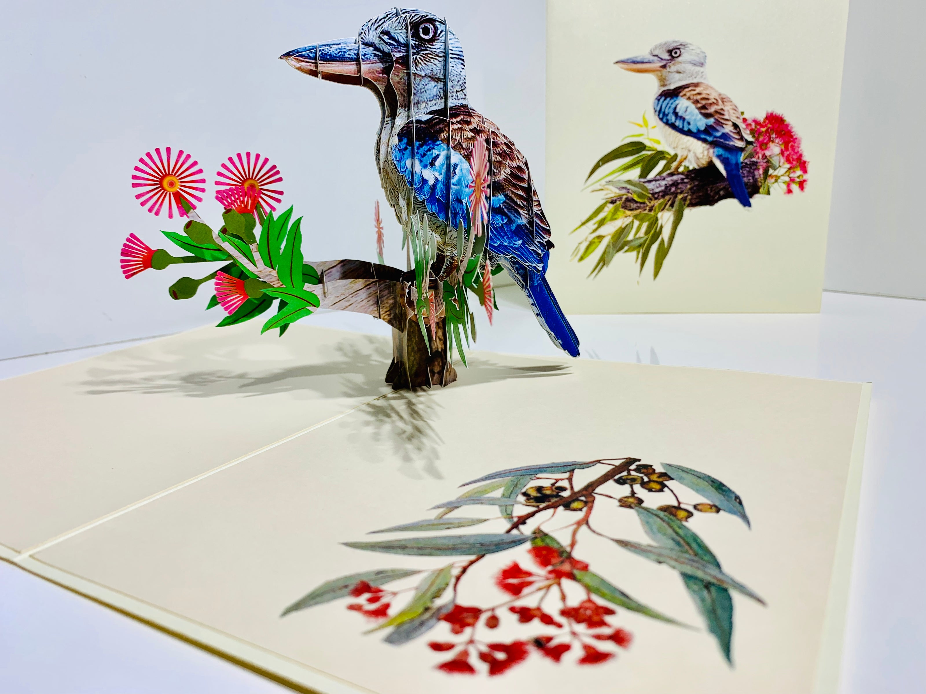 Laughing Kookaburra Australian Bird with Native Pink Gumnut Blossom Wildflower Origami Pop Cards 3D Pop Up Greeting Card Happy Birthday Thank You Handmade Gift Thinking of You Blank Card for Any Occasion Happy Mother's Day Happy Father's Australiana