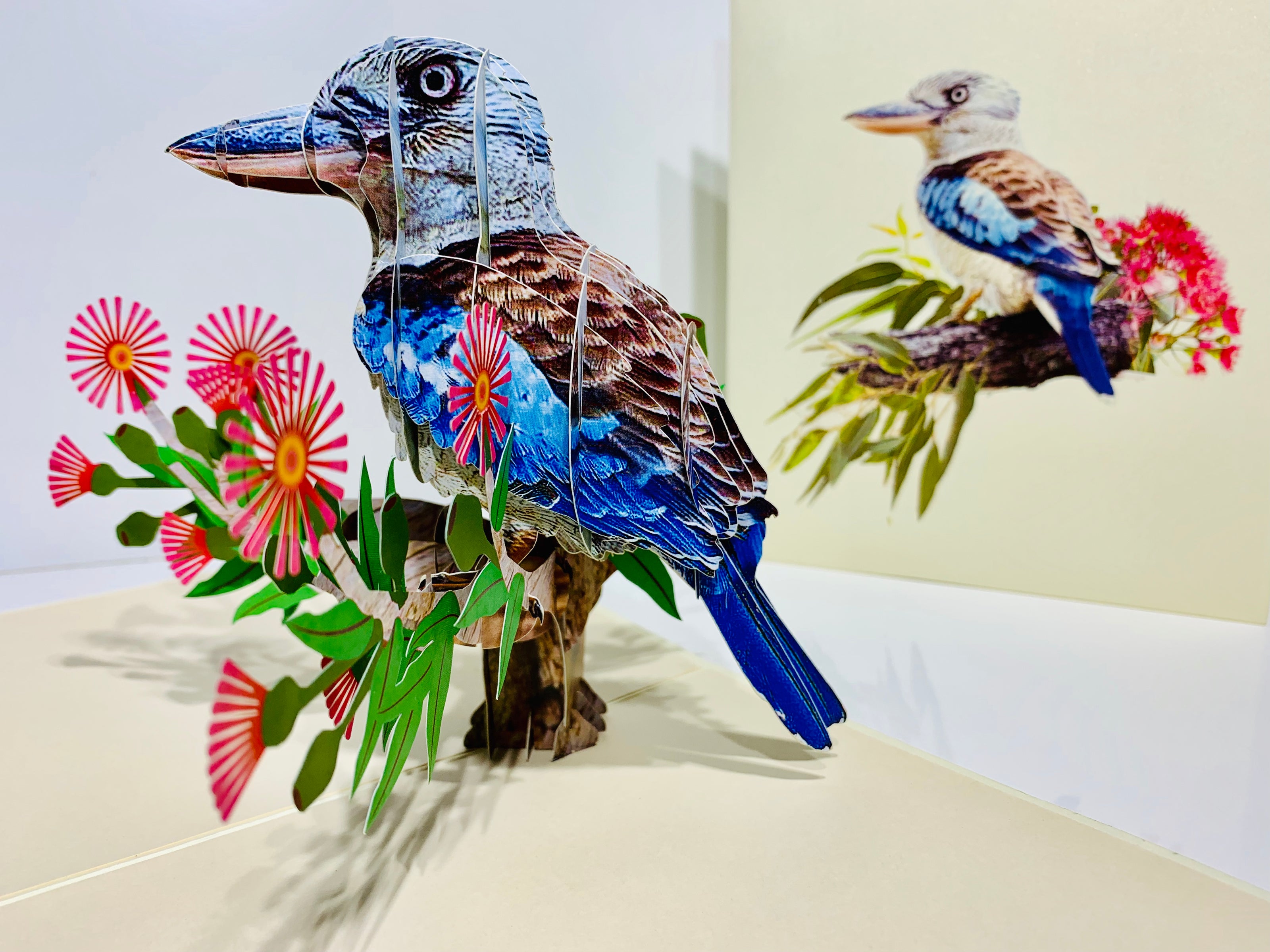 Laughing Kookaburra Australian Bird with Native Pink Gumnut Blossom Wildflower Origami Pop Cards 3D Pop Up Greeting Card Happy Birthday Thank You Handmade Gift Thinking of You Blank Card for Any Occasion Happy Mother's Day Happy Father's Australiana