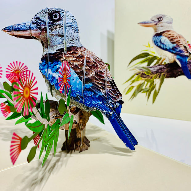 Laughing Kookaburra Australian Bird with Native Pink Gumnut Blossom Wildflower Origami Pop Cards 3D Pop Up Greeting Card Happy Birthday Thank You Handmade Gift Thinking of You Blank Card for Any Occasion Happy Mother's Day Happy Father's Australiana
