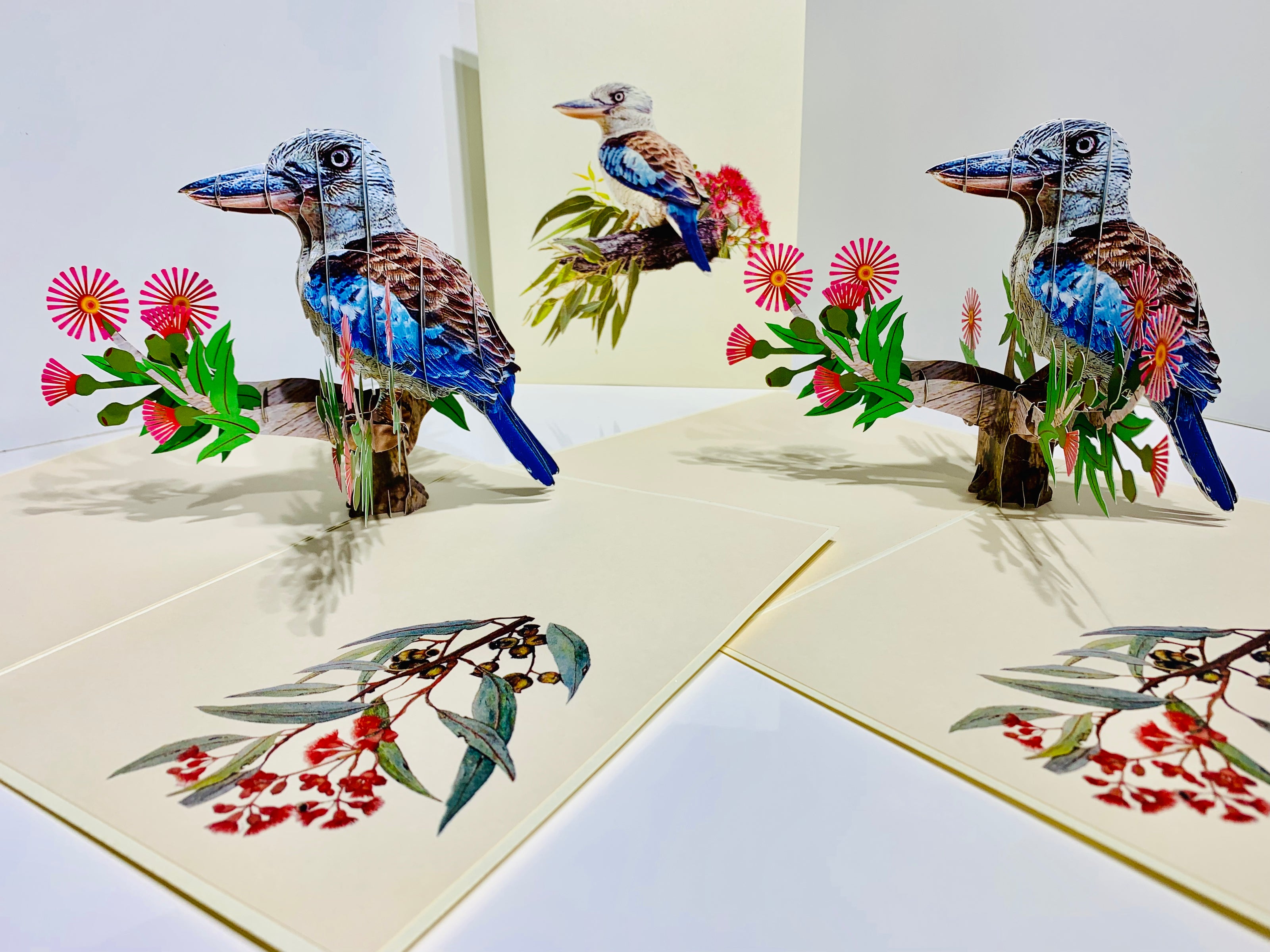 Laughing Kookaburra Australian Bird with Native Pink Gumnut Blossom Wildflower Origami Pop Cards 3D Pop Up Greeting Card Happy Birthday Thank You Handmade Gift Thinking of You Blank Card for Any Occasion Happy Mother's Day Happy Father's Australiana