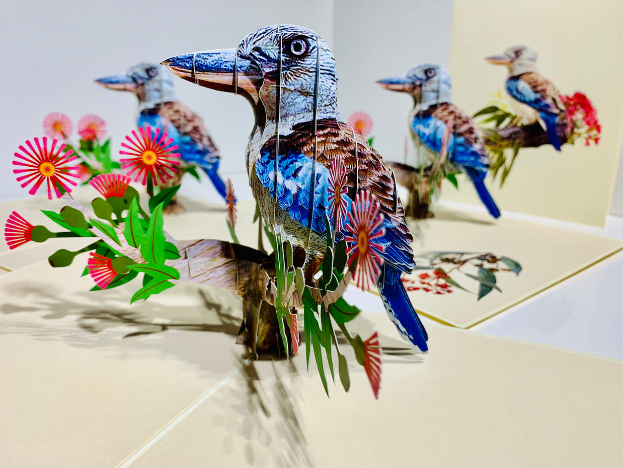 Laughing Kookaburra Australian Bird with Native Pink Gumnut Blossom Wildflower Origami Pop Cards 3D Pop Up Greeting Card Happy Birthday Thank You Handmade Gift Thinking of You Blank Card for Any Occasion Happy Mother's Day Happy Father's Australiana
