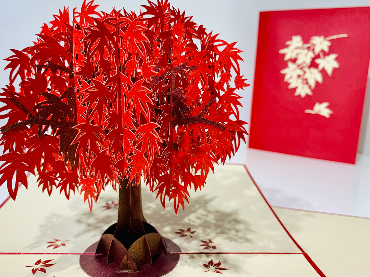 Japanese Maple Tree in Dark Red Cherry 3D POP UP GREETING CARD - Created by Origami Pop Cards Australian Design & Handmade 3D Pop Up Magical Paper Cards, Handmade Pop Up Cards Happy Valentine's Day Celebrate Love Heart Fell and Romantic