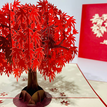 Japanese Maple Tree in Dark Red Cherry 3D POP UP GREETING CARD - Created by Origami Pop Cards Australian Design & Handmade 3D Pop Up Magical Paper Cards, Handmade Pop Up Cards Happy Valentine's Day Celebrate Love Heart Fell and Romantic