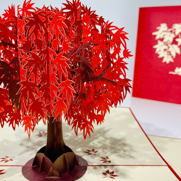 Japanese Maple Tree in Dark Red Cherry 3D POP UP GREETING CARD - Created by Origami Pop Cards Australian Design & Handmade 3D Pop Up Magical Paper Cards, Handmade Pop Up Cards Happy Valentine's Day Celebrate Love Heart Fell and Romantic