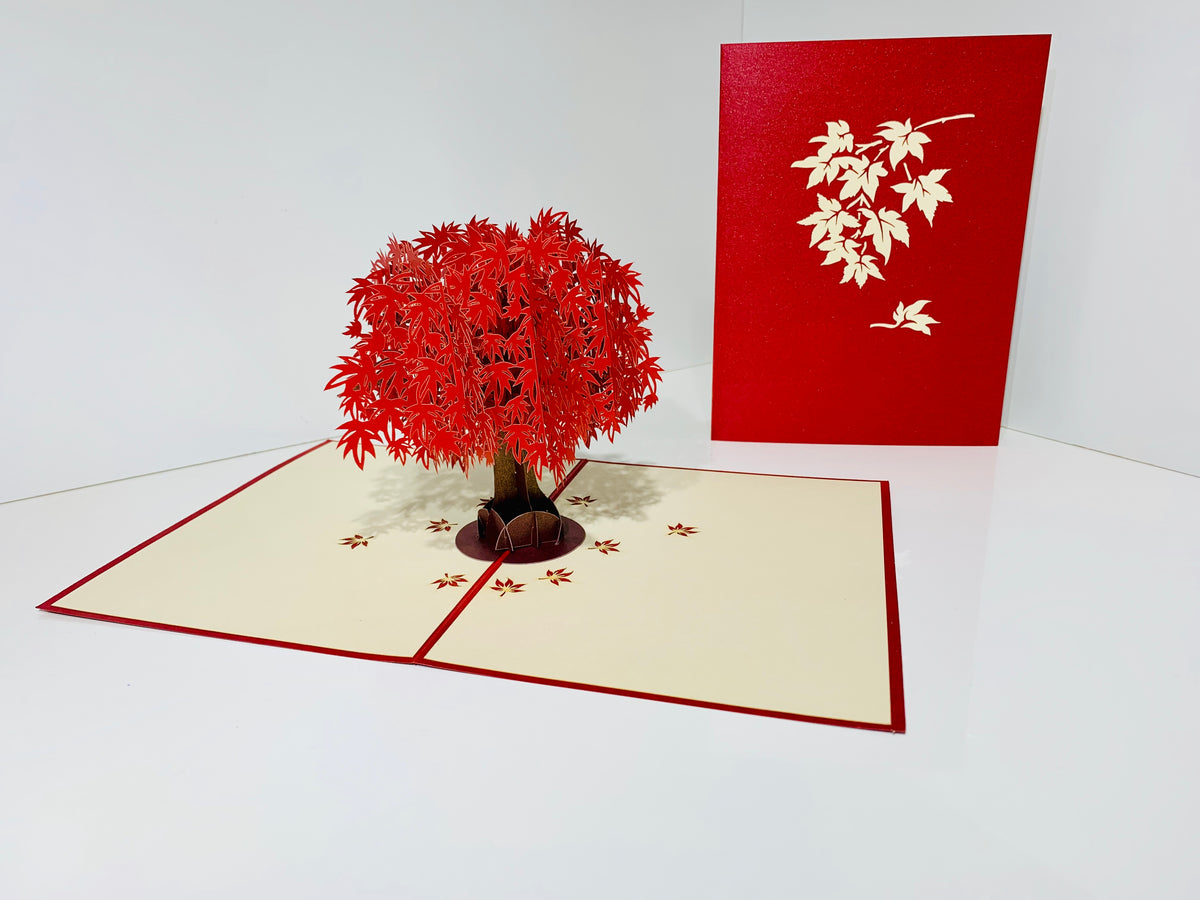 Japanese Maple Tree in Dark Red Cherry 3D POP UP GREETING CARD - Created by Origami Pop Cards Australian Design & Handmade 3D Pop Up Magical Paper Cards, Handmade Pop Up Cards Happy Valentine's Day Celebrate Love Heart Fell and Romantic