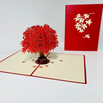 Japanese Maple Tree in Dark Red Cherry 3D POP UP GREETING CARD - Created by Origami Pop Cards Australian Design & Handmade 3D Pop Up Magical Paper Cards, Handmade Pop Up Cards Happy Valentine's Day Celebrate Love Heart Fell and Romantic