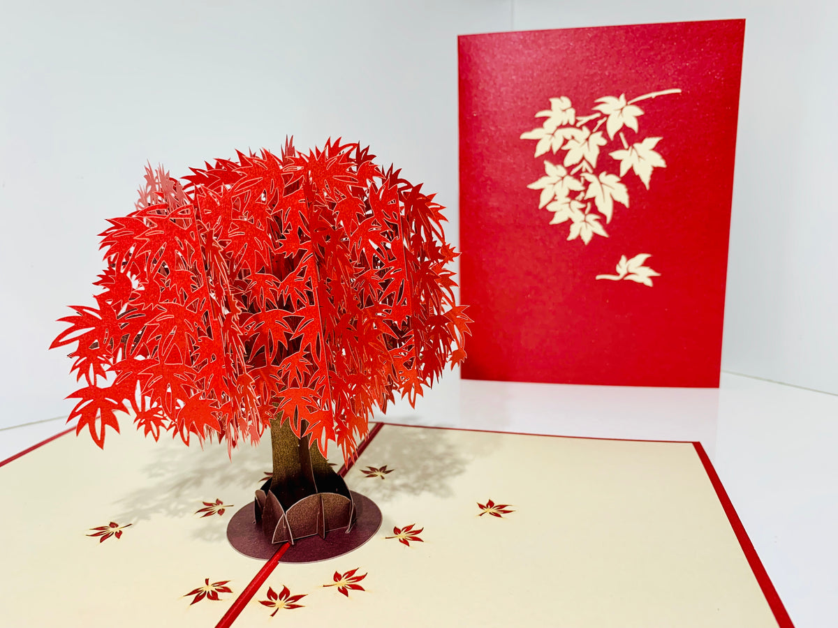 Japanese Maple Tree in Dark Red Cherry 3D POP UP GREETING CARD - Created by Origami Pop Cards Australian Design & Handmade 3D Pop Up Magical Paper Cards, Handmade Pop Up Cards Happy Valentine's Day Celebrate Love Heart Fell and Romantic