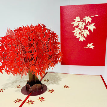 Japanese Maple Tree in Dark Red Cherry 3D POP UP GREETING CARD - Created by Origami Pop Cards Australian Design & Handmade 3D Pop Up Magical Paper Cards, Handmade Pop Up Cards Happy Valentine's Day Celebrate Love Heart Fell and Romantic