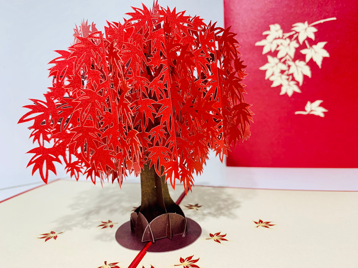 Japanese Maple Tree in Dark Red Cherry 3D POP UP GREETING CARD - Created by Origami Pop Cards Australian Design & Handmade 3D Pop Up Magical Paper Cards, Handmade Pop Up Cards Happy Valentine's Day Celebrate Love Heart Fell and Romantic