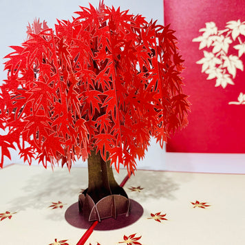 Japanese Maple Tree in Dark Red Cherry 3D POP UP GREETING CARD - Created by Origami Pop Cards Australian Design & Handmade 3D Pop Up Magical Paper Cards, Handmade Pop Up Cards Happy Valentine's Day Celebrate Love Heart Fell and Romantic