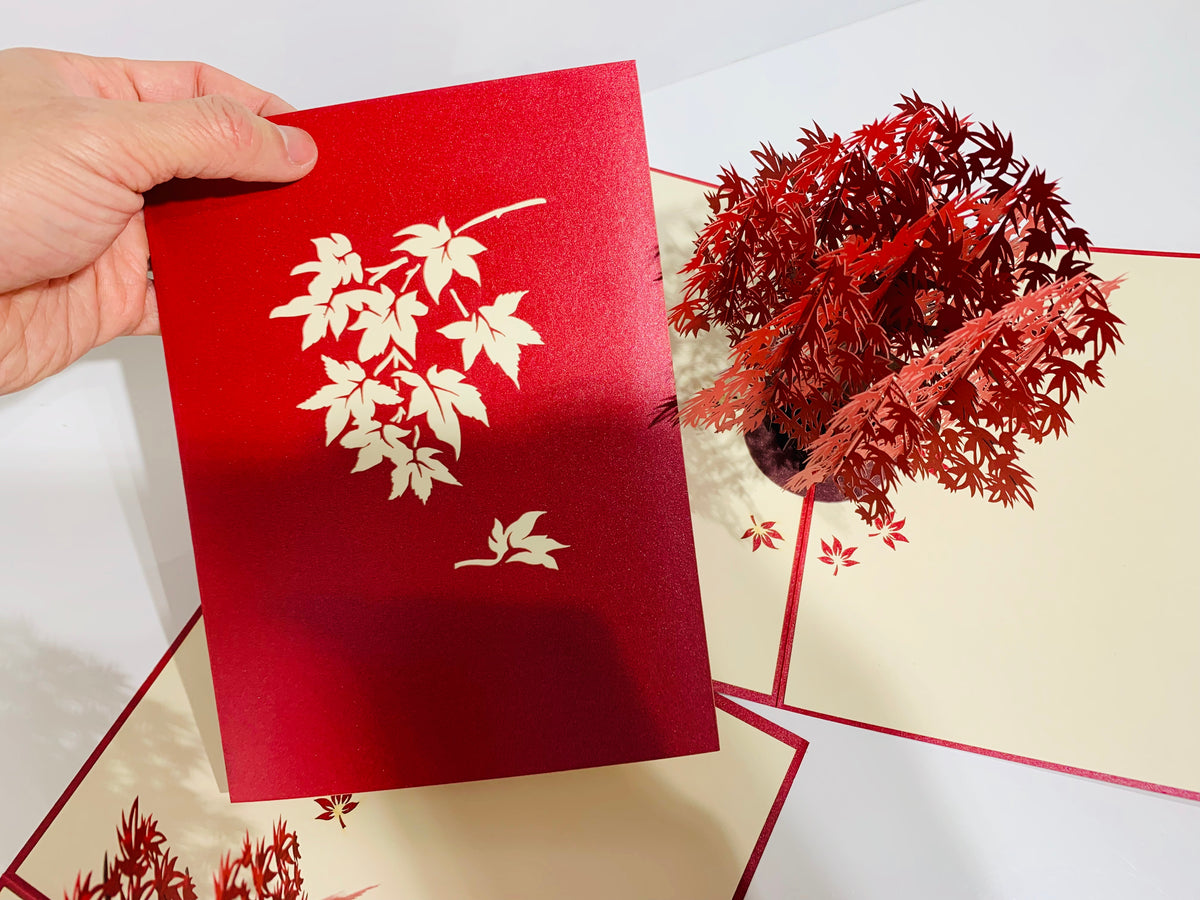 Japanese Maple Tree in Dark Red Cherry 3D POP UP GREETING CARD - Created by Origami Pop Cards Australian Design & Handmade 3D Pop Up Magical Paper Cards, Handmade Pop Up Cards Happy Valentine's Day Celebrate Love Heart Fell and Romantic