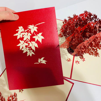 Japanese Maple Tree in Dark Red Cherry 3D POP UP GREETING CARD - Created by Origami Pop Cards Australian Design & Handmade 3D Pop Up Magical Paper Cards, Handmade Pop Up Cards Happy Valentine's Day Celebrate Love Heart Fell and Romantic