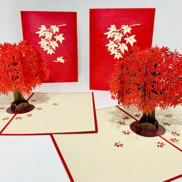 Japanese Maple Tree in Dark Red Cherry 3D POP UP GREETING CARD - Created by Origami Pop Cards Australian Design & Handmade 3D Pop Up Magical Paper Cards, Handmade Pop Up Cards Happy Valentine's Day Celebrate Love Heart Fell and Romantic