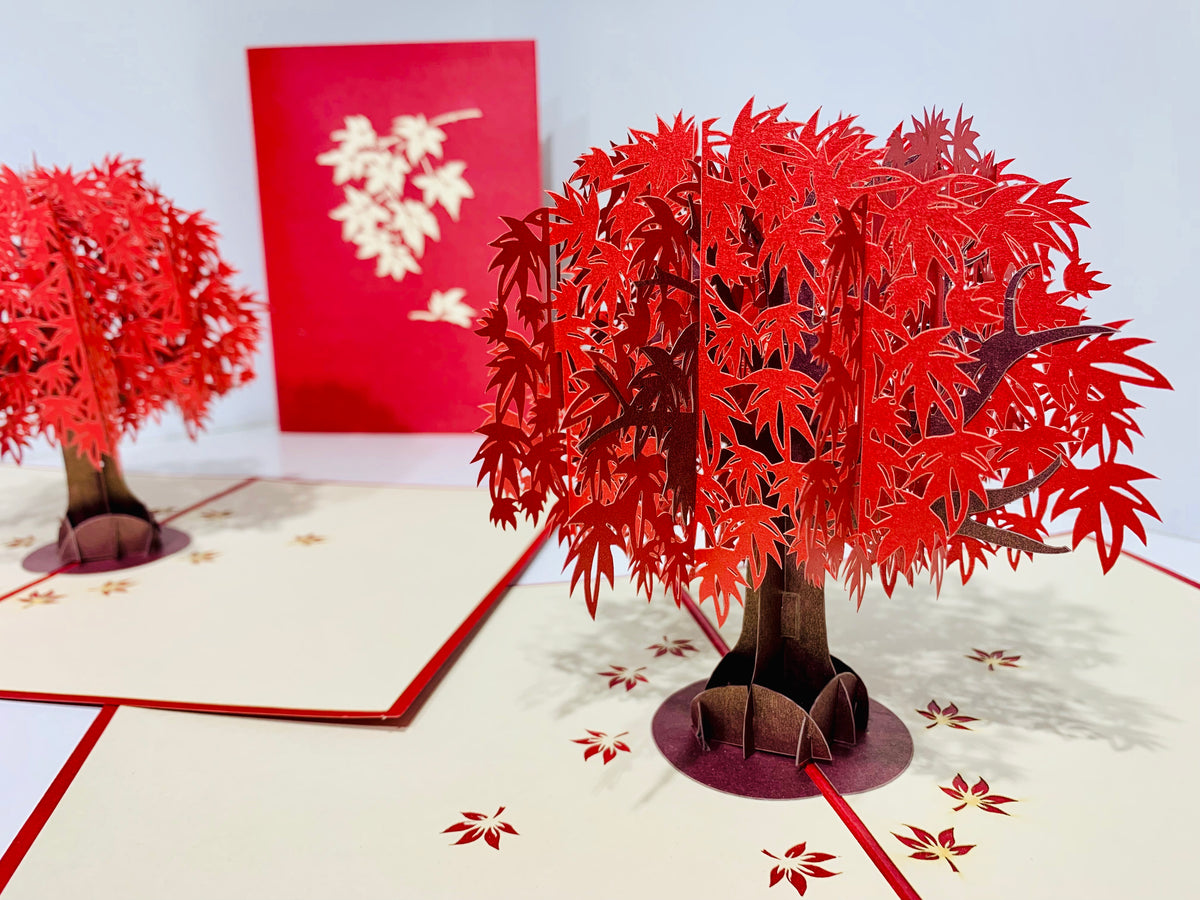 Japanese Maple Tree in Dark Red Cherry 3D POP UP GREETING CARD - Created by Origami Pop Cards Australian Design & Handmade 3D Pop Up Magical Paper Cards, Handmade Pop Up Cards Happy Valentine's Day Celebrate Love Heart Fell and Romantic