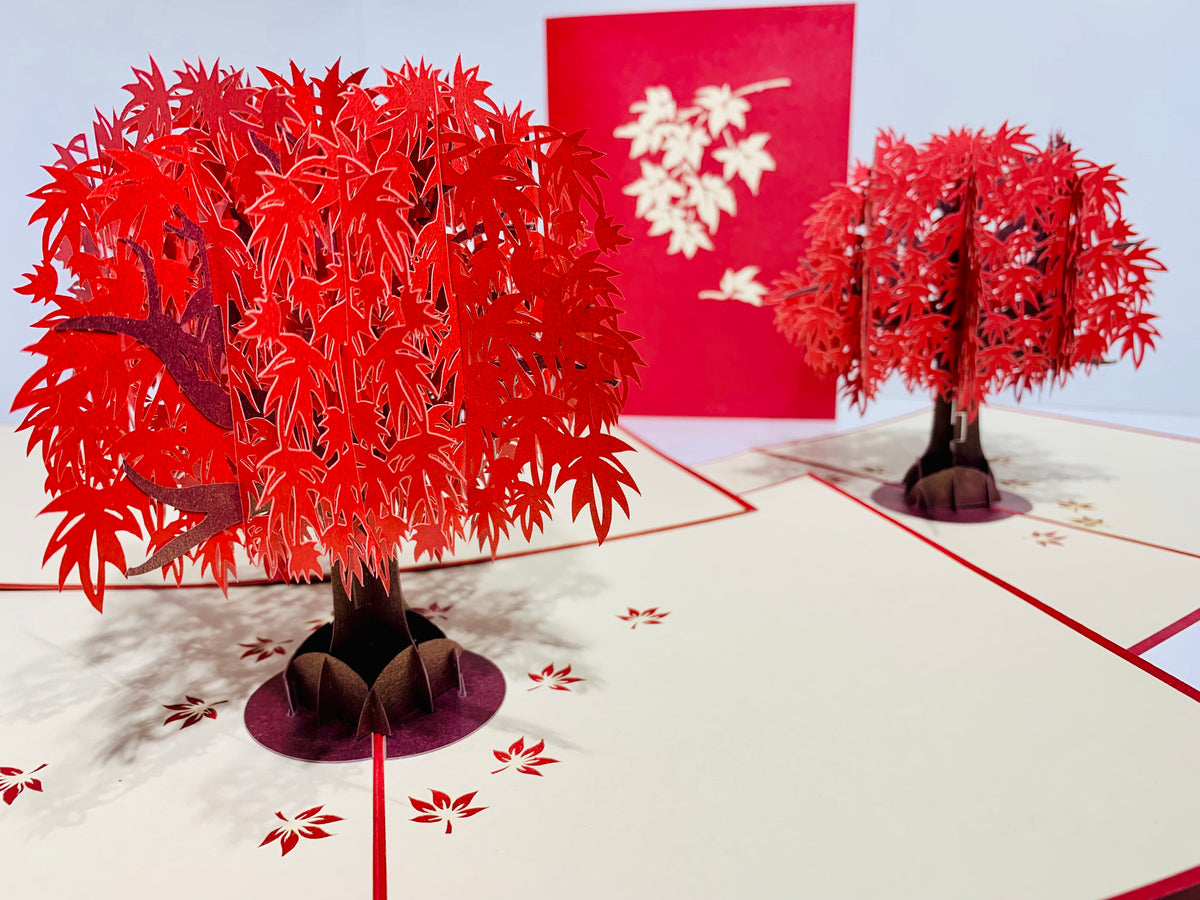 Japanese Maple Tree in Dark Red Cherry 3D POP UP GREETING CARD - Created by Origami Pop Cards Australian Design & Handmade 3D Pop Up Magical Paper Cards, Handmade Pop Up Cards Happy Valentine's Day Celebrate Love Heart Fell and Romantic