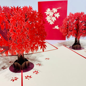 Japanese Maple Tree in Dark Red Cherry 3D POP UP GREETING CARD - Created by Origami Pop Cards Australian Design & Handmade 3D Pop Up Magical Paper Cards, Handmade Pop Up Cards Happy Valentine's Day Celebrate Love Heart Fell and Romantic