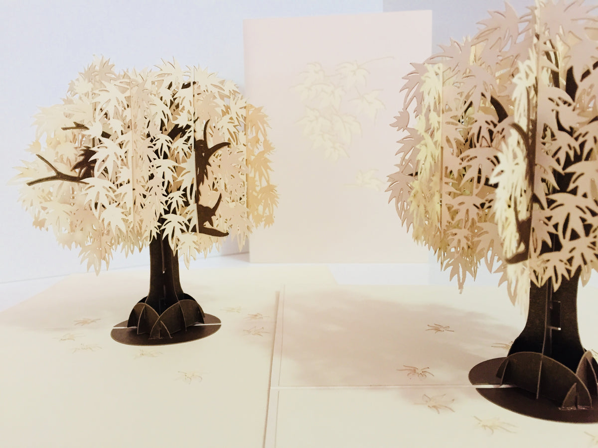 Japanese Maple Tree in White 3D POP UP GREETING CARD - Created by Origami Pop Cards Australian Design & Handmade 3D Pop Up Magical Paper Cards, Handmade Pop Up Cards Happy Valentine's Day Celebrate Love Heart Fell and Romantic