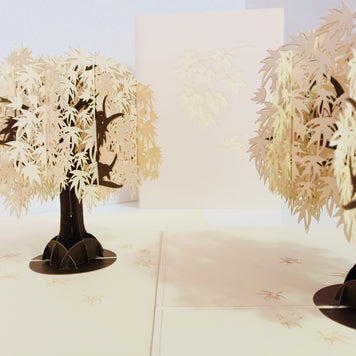 Japanese Maple Tree in White 3D POP UP GREETING CARD - Created by Origami Pop Cards Australian Design & Handmade 3D Pop Up Magical Paper Cards, Handmade Pop Up Cards Happy Valentine's Day Celebrate Love Heart Fell and Romantic