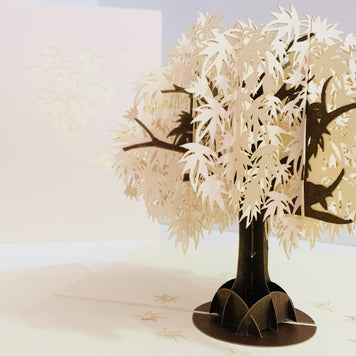 Japanese Maple Tree in White 3D POP UP GREETING CARD - Created by Origami Pop Cards Australian Design & Handmade 3D Pop Up Magical Paper Cards, Handmade Pop Up Cards Happy Valentine's Day Celebrate Love Heart Fell and Romantic
