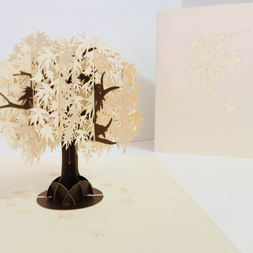 Japanese Maple Tree in White 3D POP UP GREETING CARD - Created by Origami Pop Cards Australian Design & Handmade 3D Pop Up Magical Paper Cards, Handmade Pop Up Cards Happy Valentine's Day Celebrate Love Heart Fell and Romantic