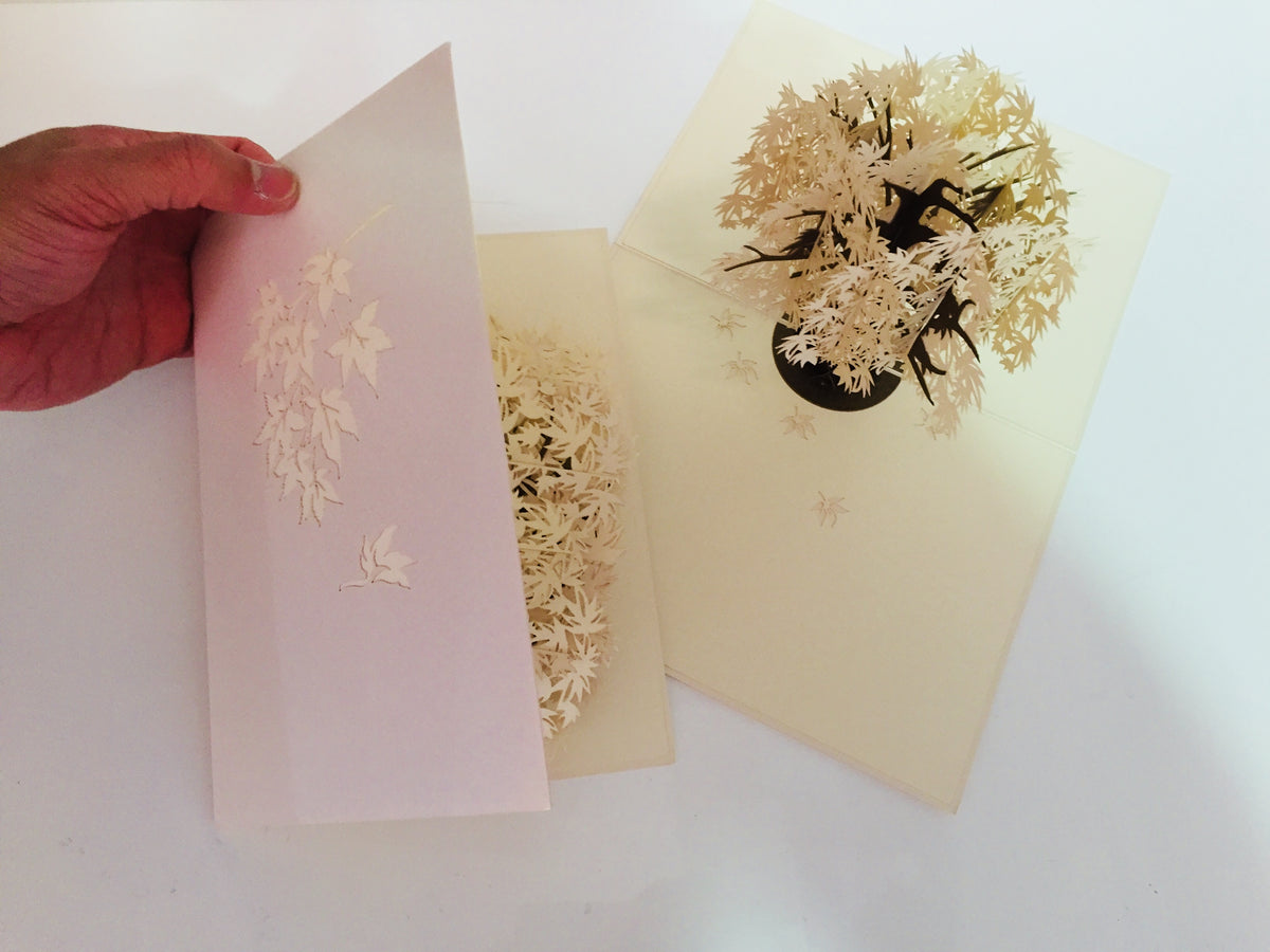 Japanese Maple Tree in White 3D POP UP GREETING CARD - Created by Origami Pop Cards Australian Design & Handmade 3D Pop Up Magical Paper Cards, Handmade Pop Up Cards Happy Valentine's Day Celebrate Love Heart Fell and Romantic