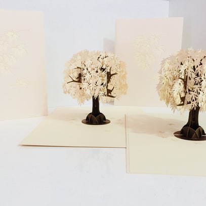 Japanese Maple Tree in White 3D POP UP GREETING CARD - Created by Origami Pop Cards Australian Design & Handmade 3D Pop Up Magical Paper Cards, Handmade Pop Up Cards Happy Valentine's Day Celebrate Love Heart Fell and Romantic